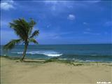 Playa Wilderness           - AGUADILLA